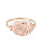 Large Heirloom Signet Ring - RG